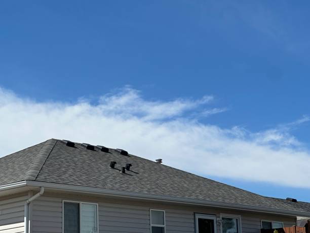 Best Storm Damage Roof Repair  in Granite, OK